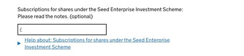 Fill your return – SEIS